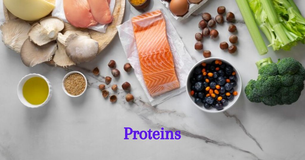 How Are Proteins Important For The Body