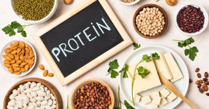How Are Proteins Important For The Body